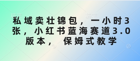 私域卖壮锦包，一小时3张，小红书蓝海赛道3.0版本， 保姆式教学-电脑资源自留地