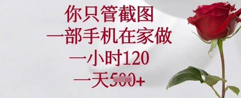 你只管截图，一部手机在家做，一小时120.一天5张【揭秘】-电脑资源自留地