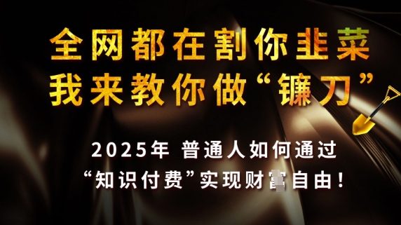 全网都在割你韭菜，我来教你做镰刀，2025普通人如何通过知识付费，实现财F自由【揭秘】-电脑资源自留地