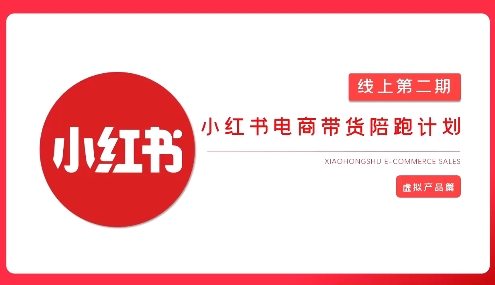 2025小红书虚拟电商实战课，从0到1打造无货源店铺，AI+爆款笔记轻松变现-电脑资源自留地