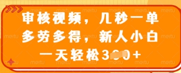 审核视频，几秒一单，多劳多得，新人小白一天轻松3张【揭秘】-电脑资源自留地