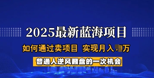 2025蓝海项目，普通人如何通过卖项目，实现月入过W，全过程【揭秘】-电脑资源自留地