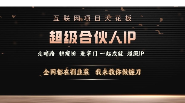 互联网项目天花板，超级合伙人IP，全网都在割韭菜，我来教你做镰刀【仅揭秘】-电脑资源自留地