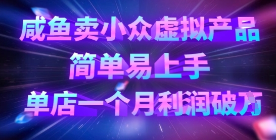 咸鱼卖小众虚拟产品，简单易上手，单店一个月利润破W-电脑资源自留地