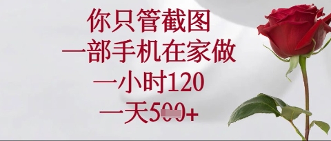 你只管截图，一部手机在家操作，一小时120.一天5张【揭秘】-电脑资源自留地