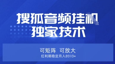 【搜狐音频挂G】独家技术，可矩阵可放大，红利期稳定月入8k【揭秘】-电脑资源自留地