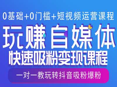 0基础+0门槛+短视频运营课程，玩赚自媒体快速吸粉变现课程，一对一教玩转抖音吸粉爆粉-电脑资源自留地