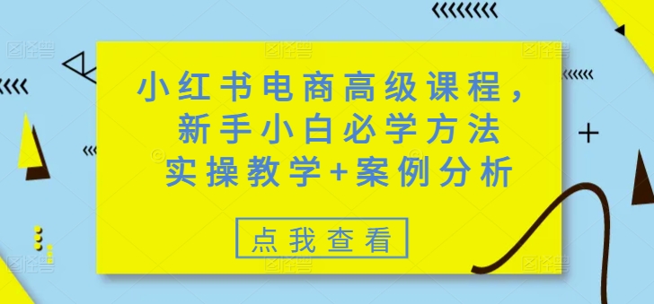 小红书电商高级课程，新手小白必学方法，实操教学+案例分析-电脑资源自留地