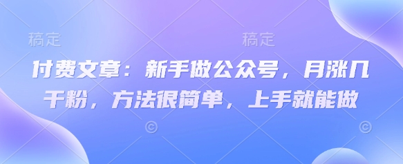 付费文章：新手做公众号，月涨几干粉，方法很简单，上手就能做-电脑资源自留地