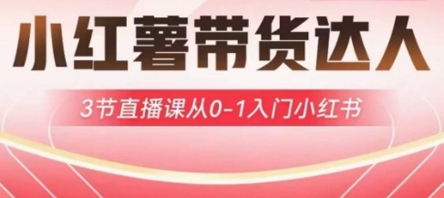 小红薯达人带货启航计划，3节直播课从0-1入门小红书-电脑资源自留地