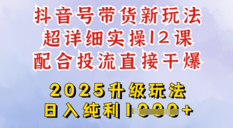 2025全新升级抖音带货玩法，一天纯利四位数，从剪辑到选品再到发布投流，超详细玩法揭秘-电脑资源自留地