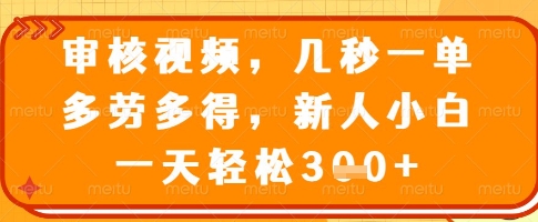 审核视频，几秒一单，多劳多得，新人小白一天轻松3张【揭秘】-电脑资源自留地