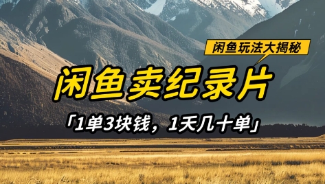 闲鱼卖纪录片1单3块钱，1天几十单，项目稳定有潜力-电脑资源自留地