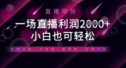 半无人直播带货，一场利润数张，适合所有平台玩法，小白也可轻松-电脑资源自留地