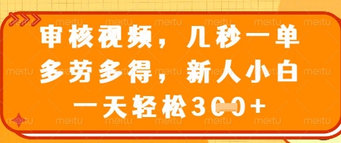 最新审核视频，几秒一单，多劳多得，新人小白一天轻松3张【揭秘】-电脑资源自留地