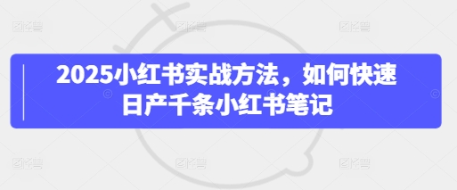 2025小红书实战方法，如何快速日产千条小红书笔记-电脑资源自留地