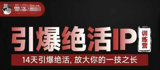 引爆绝活IP训练营，14天引爆绝活，放大你的一技之长-电脑资源自留地