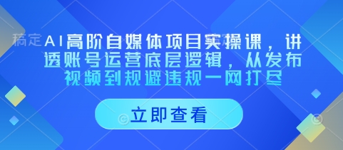 AI高阶自媒体项目实操课，讲透账号运营底层逻辑，从发布视频到规避违规一网打尽-电脑资源自留地