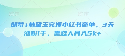 即梦+林黛玉完爆小红书商单，3天涨粉1千，靠怼人月入5k+-电脑资源自留地