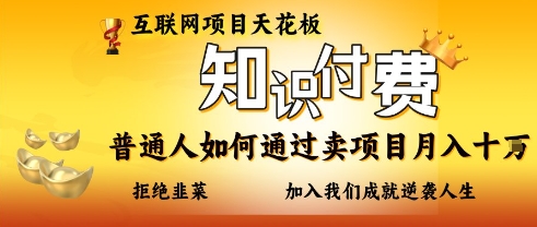 互联网项目天花板，知付付费项目，普通人如何通过卖项目月入十个，拒绝韭菜【揭秘】-电脑资源自留地