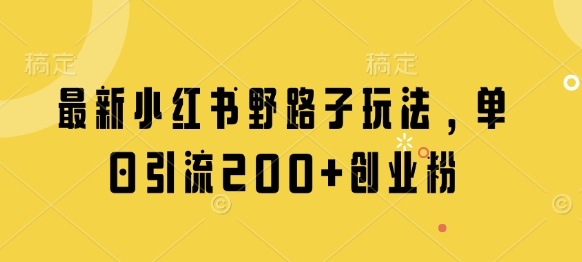最新小红书野路子玩法，单日引流200+创业粉-电脑资源自留地