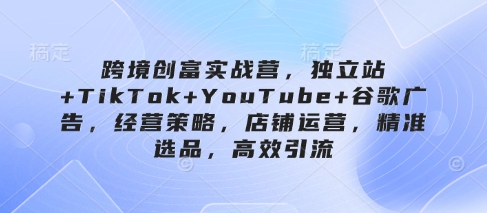 跨境创富实战营，独立站+TikTok+YouTube+谷歌广告，经营策略，店铺运营，精准选品，高效引流-电脑资源自留地
