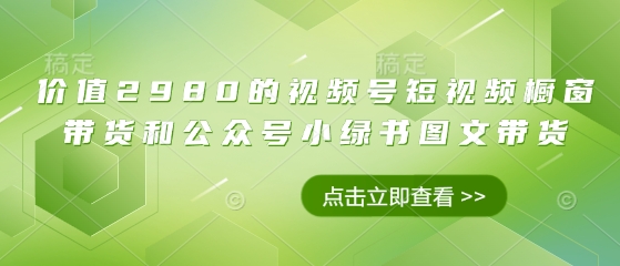 价值2980的视频号短视频橱窗带货和公众号小绿书图文带货-电脑资源自留地
