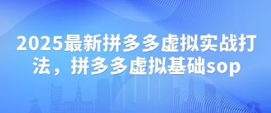 2025最新拼多多虚拟实战打法，拼多多虚拟基础sop-电脑资源自留地