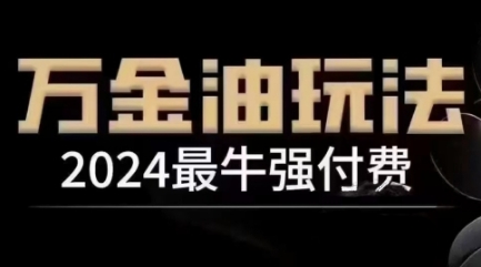 2024最牛强付费，万金油强付费玩法，干货满满，全程实操起飞（更新25年04月）-电脑资源自留地