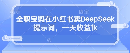 全职宝妈在小红书卖DeepSeek提示词，一天收益1k-电脑资源自留地