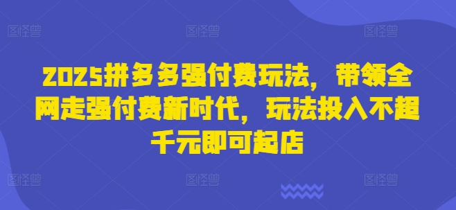 2025拼多多强付费玩法，带领全网走强付费新时代，玩法投入不超千元即可起店-电脑资源自留地