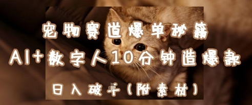 宠物赛道爆单秘籍：AI+数字人10分钟造爆款，日入1k-电脑资源自留地