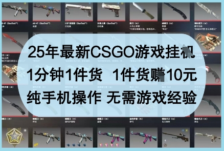 25年最新CSGO游戏挂G，1分钟1件货，1件货挣10元，纯手机操作，无需游戏经验【揭秘】-电脑资源自留地