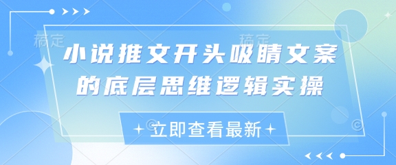 小说推文开头吸睛文案的底层思维逻辑实操-电脑资源自留地