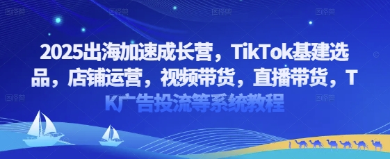 2025出海加速成长营，TikTok基建选品，店铺运营，视频带货，直播带货，TK广告投流等系统教程-电脑资源自留地