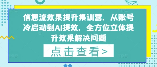 信息流效果提升集训营，从账号冷启动到AI提效，全方位立体提升效果解决问题-电脑资源自留地