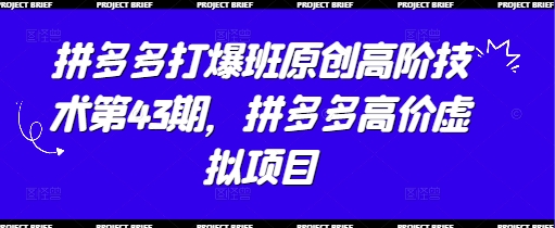 拼多多打爆班原创高阶技术第43期，拼多多高价虚拟项目-电脑资源自留地