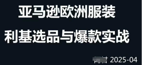 跨境电商选品案例24-25年，聚焦跨境电商选品策略与运营优化，助力卖家挖掘蓝海市场-电脑资源自留地