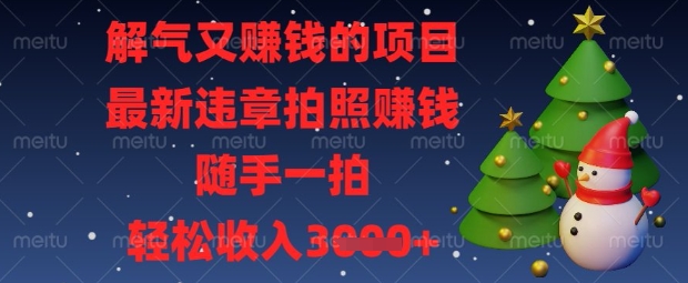 解气又挣钱的项目，最新违章拍照挣钱，随手一拍，轻松收入数张【揭秘】-电脑资源自留地