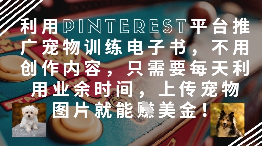 利用Pinterest平台推广宠物训练电子书，不用创作内容，只需要每天利用业余时间，上传宠物图片就能挣美金!-电脑资源自留地