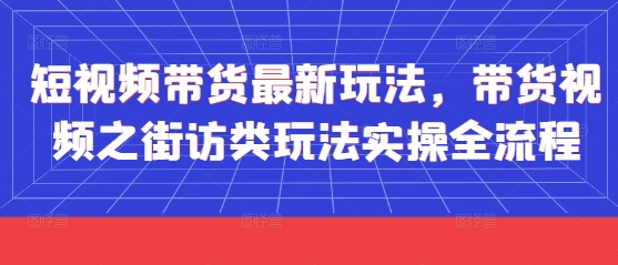 短视频带货最新玩法，带货视频之街访类玩法实操全流程-电脑资源自留地