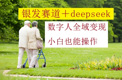 银发赛道+deepseek数字人全域变现，小白也能操作-电脑资源自留地