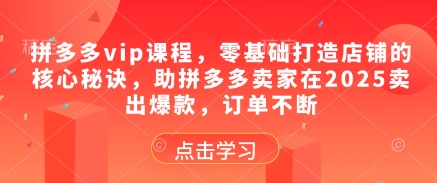 拼多多vip课程，零基础打造店铺的核心秘诀，助拼多多卖家在2025卖出爆款，订单不断-电脑资源自留地