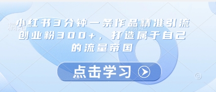 小红书3分钟一条作品精准引流创业粉300+，打造属于自己的流量帝国-电脑资源自留地