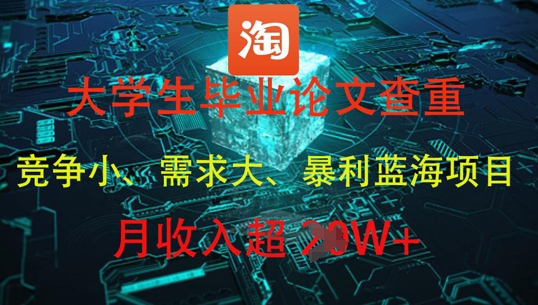 大学生毕业论文查重，暴利蓝海项目，月收入过1W+-电脑资源自留地