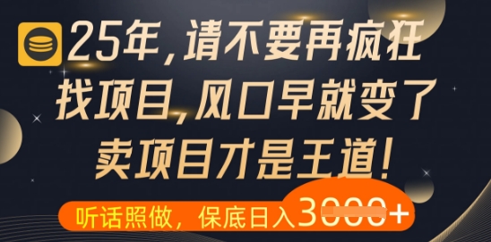 什么？25年你还在疯狂找项目做，醒醒吧，看完这些你全都懂了【揭秘】-电脑资源自留地