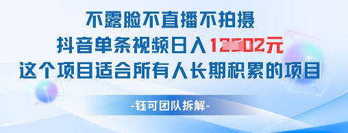 不露脸不直播不拍摄抖音单条视频日入1k+这个项目适合所有人长期积累的项目-电脑资源自留地