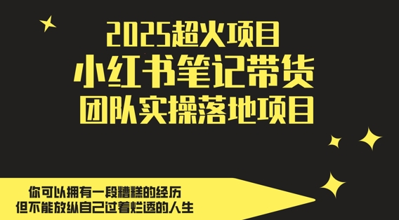 2025超火项目，副业最佳选择，小红书笔记带货团队实操落地项目，，轻松日入5张-电脑资源自留地
