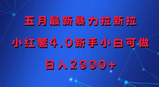 五月最新暴力拉新拉，小红薯4.0新手小白可做，日入多张-电脑资源自留地