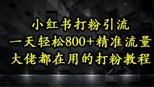 小红书打粉引流，一天轻松500+精准流量，大佬都在用的打粉教程-电脑资源自留地